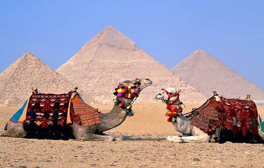program Cairo and Nile Cruise Aswan to Luxor 6 nights 7days