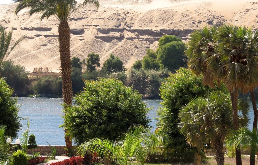 The plants island